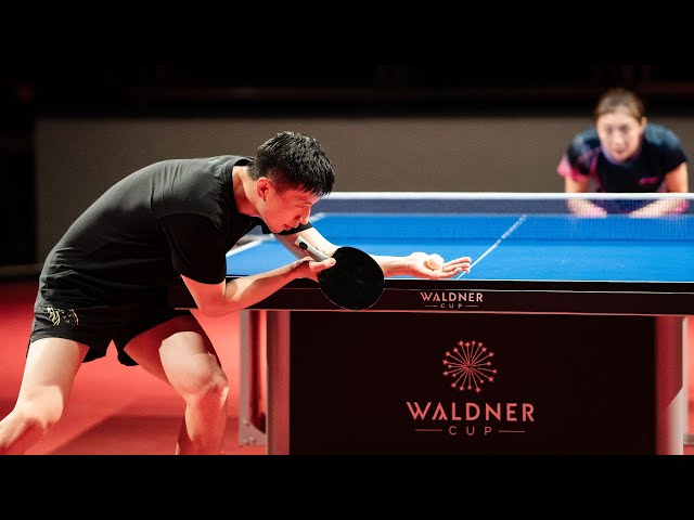 Ma Long & Chen Meng Training | Waldner Cup 2024