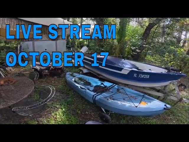 Upcoming Live Stream Update