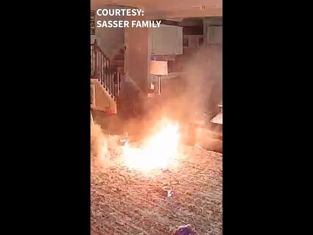 Must Watch: Dog gets hold of lithium battery setting house fire