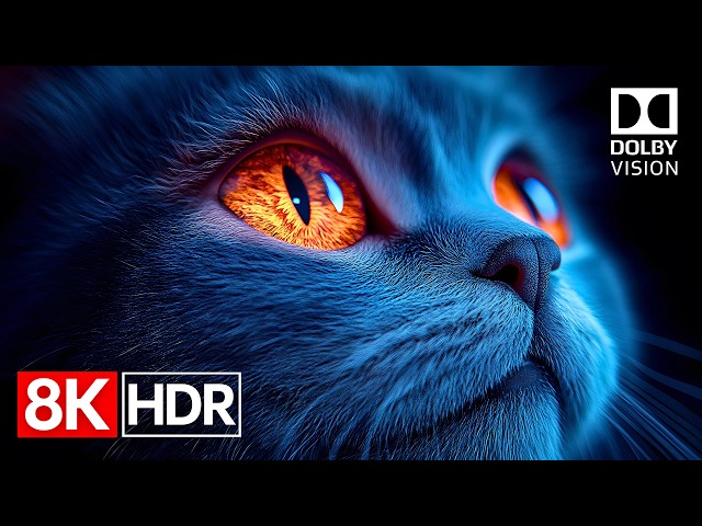 Unmatched Visual Beauty | 8K HDR 60fps Demo for Premium TVs