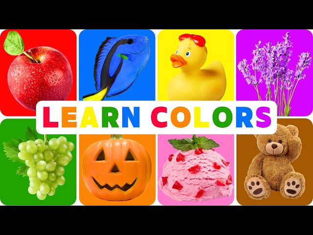 Learn Colors for Kids | Simple Color Song | Red, Blue, Yellow, Green & More