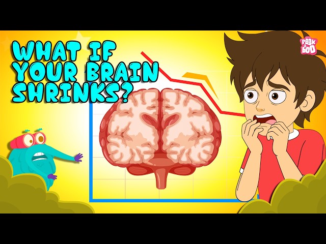 What If Your Brain Shrinks? 🧠😱 | What is Brain Atrophy? | Why It Happens? | Dr. Binocs Show