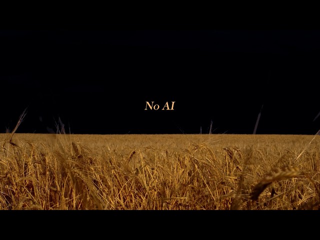 Darkness in the Distance | Thunderstorm over a Wheat Field | NO AI