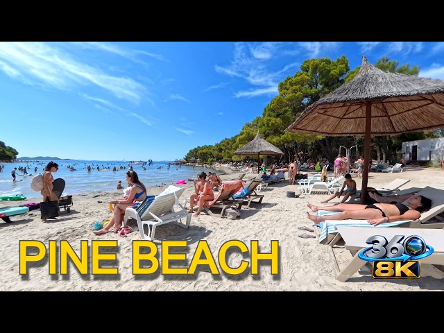 🌴 Pine Beach Pakoštane, Croatia 🇭🇷 | 8K 360° Beach Walk 🌊☀️