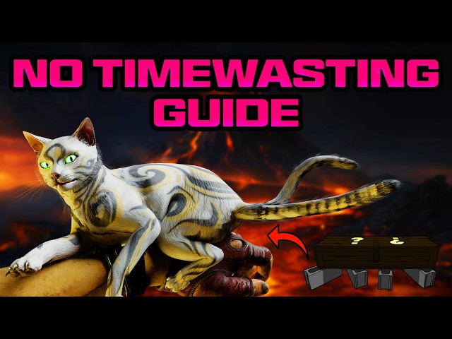 "BETTER BOX" Easter Egg Guide (No Timewasting)