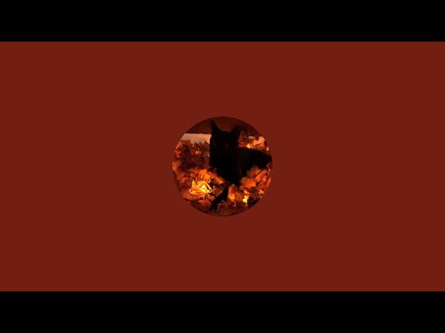 MMV/MM2 Mobile Live Stream