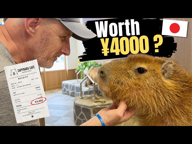 Wasted Money? Harajuku Capybara Cafe | Tokyo, Japan Animal Cafe