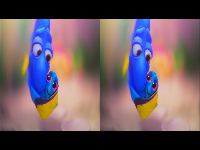 3D SBS HDR 4K