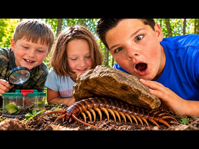 Caleb’s BUG HUNT… Something Was Hiding Under This Rock!
