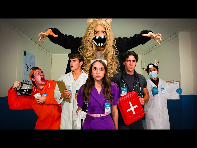 Animal Hospital In Real Life