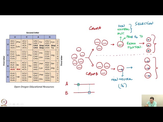 Week 9 : Lecture 45 : dN/dS