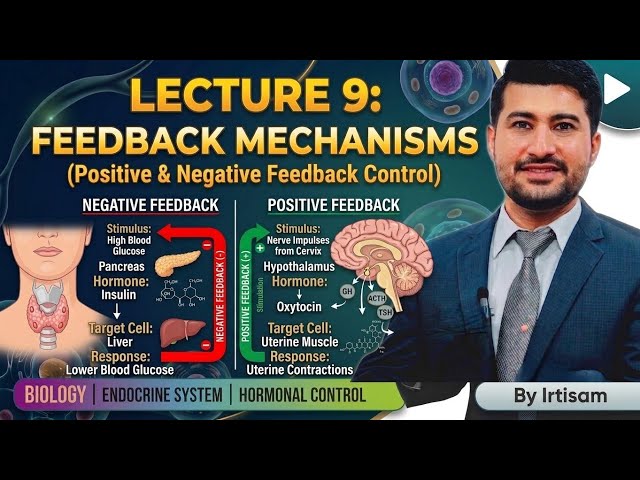 Feedback Mechanism class 12 Positive and negative Feedback Mechanism 