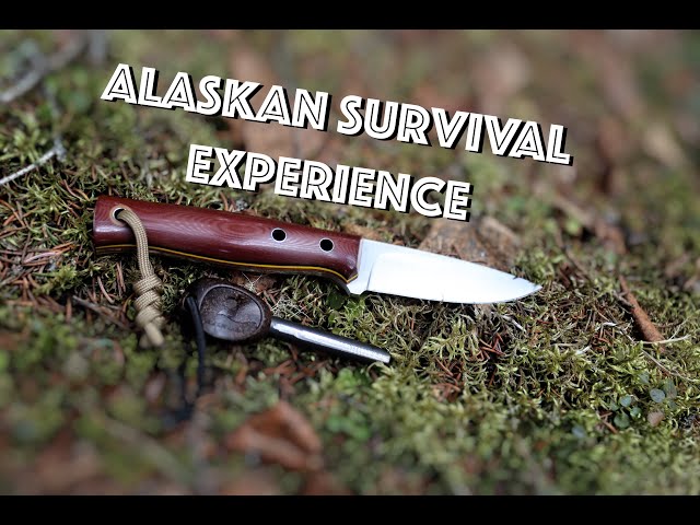 5 Survival Tips/Lessons from My Experience in Alaska