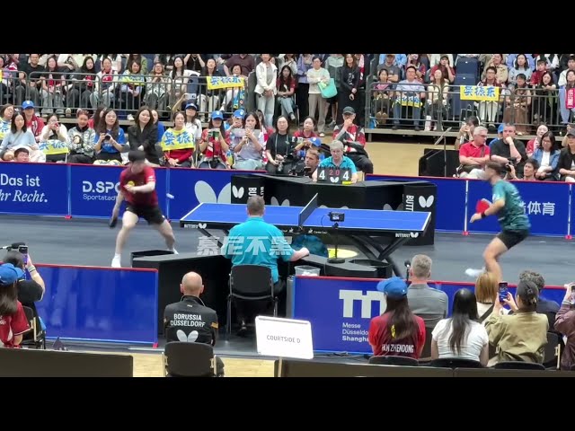 Fan Zhendong vs Filip Zeljko / INSANE Points | German Bundesliga 2026