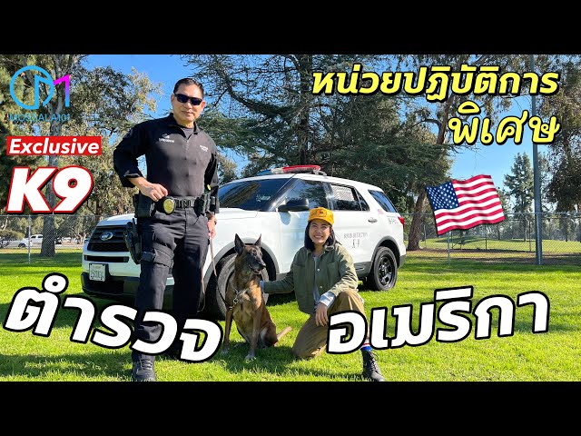 เจาะลึกตำรวจสายบู๊ K9 อเมริกา เชื้อสายไทย!เผยความลับหน่วยปฏิบัติการพิเศษK9  #มอสลา Exclusive K9 LAPD