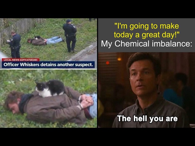 Feral Internet Posts That Shouldn’t Exist 😂 | Humor Sweet