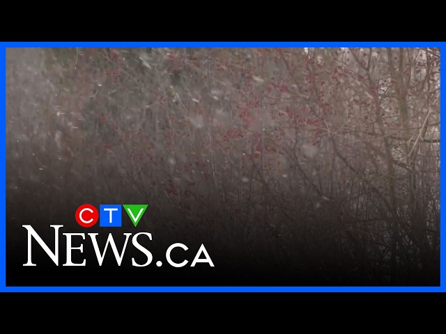 Will we get snow this fall?