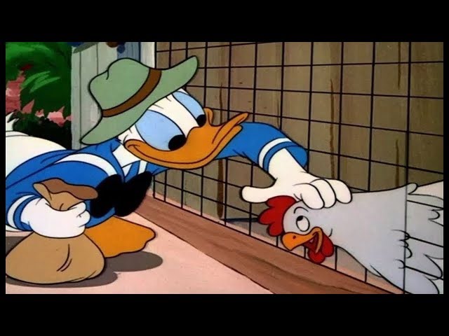 ᴴᴰ Donald Duck & Nephews Cartoon Classics- Best New Collection #10