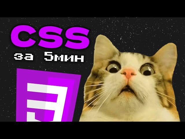 Learn CSS in 5 MINUTES | CSS BASICS