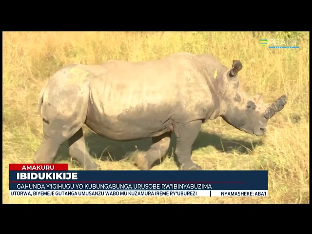 REMA mu ngamba nshya zo kubungabunga urusobe rw'inyabuzima bitarenze 2030