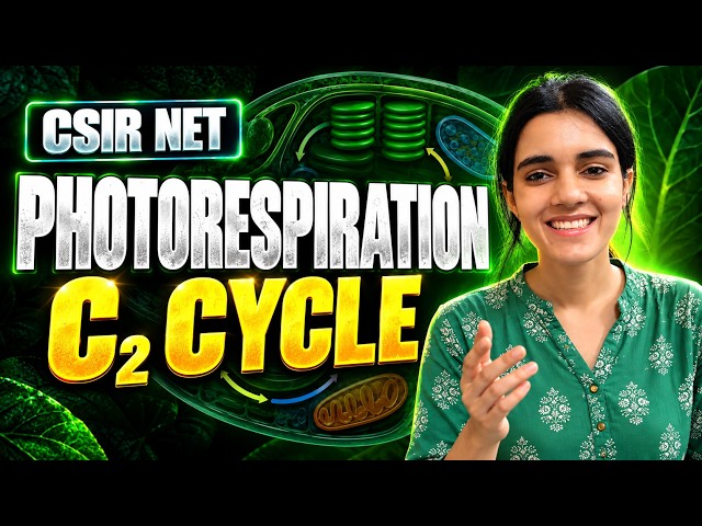 Photorespiration (C2 Cycle) Explained Step by Step | CSIR NET Life Science 2026