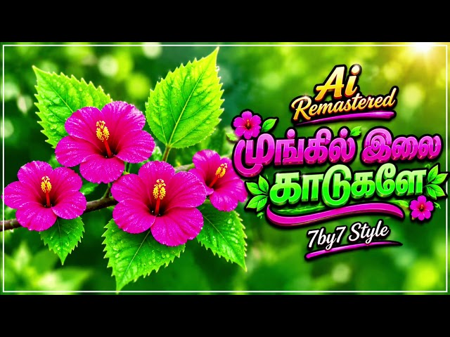 Moongil Ilai Kaadugalea | Ai Remix Songs | 7by7 Music Style 