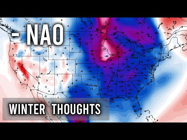 Winter Thoughts #4