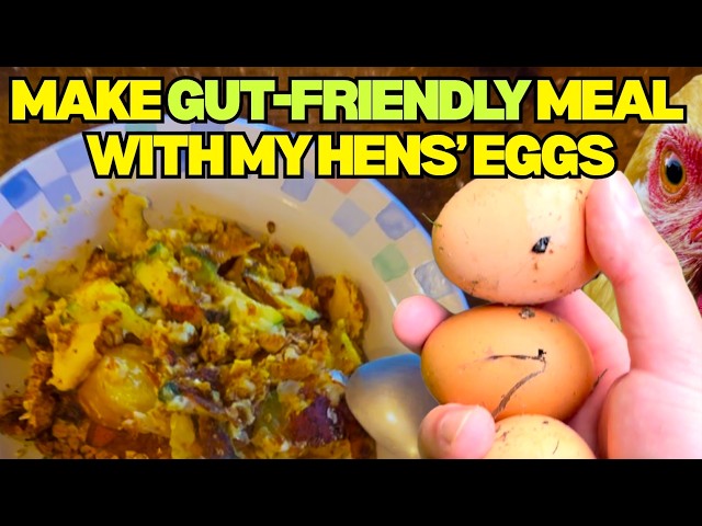I HAVE CROHN'S... 🐔💕 How I use my chickens' fresh eggs to make anti inflammatory recipe!
