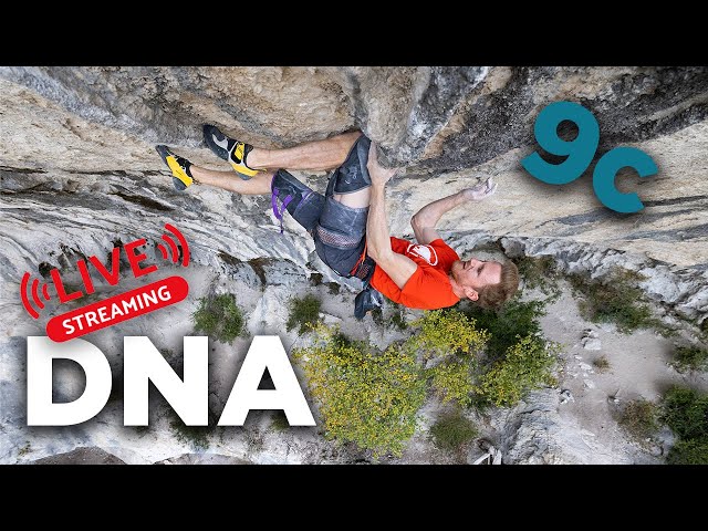DNA (9c) - Second LIVE Attempt