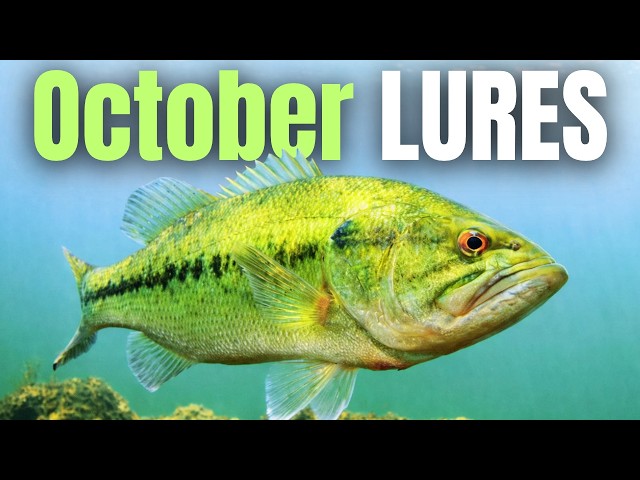These OCTOBER LURES Catch Bass EVERY TIME