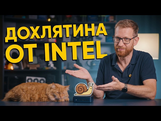 Wildcat Lake: The New King of the Hill Among Processors