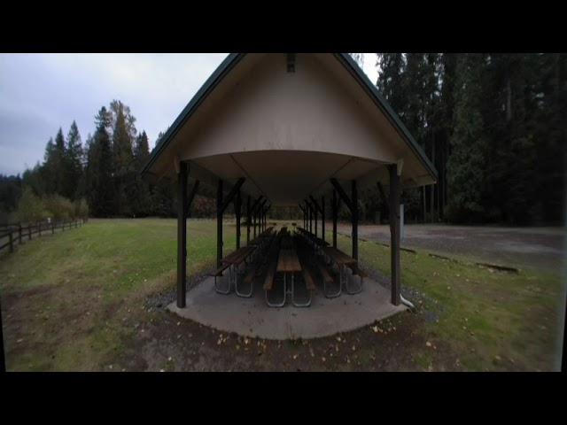 Test Video: VR180 Old-growth Forest in Autumn (slideshow)