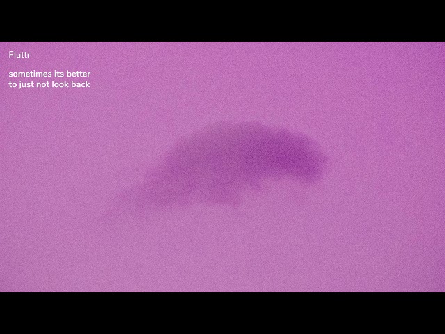 Fluttr - pendulum