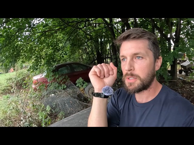 ASMR in my Junkyard