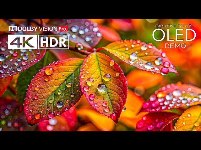 Explosive Colors💥Fantastic HDR 4K 120 FPS Dolby Vision - 4K Video