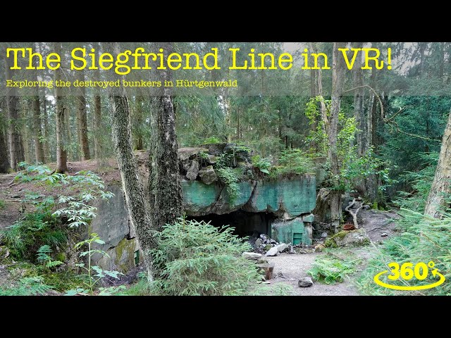 Explore the Siegfried Line at Hürtgenwald in full immersive 360! [virtual reality URBEX]