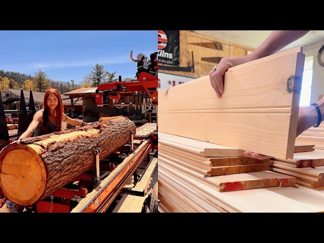 Every step a tree goes trough before becoming a finished product