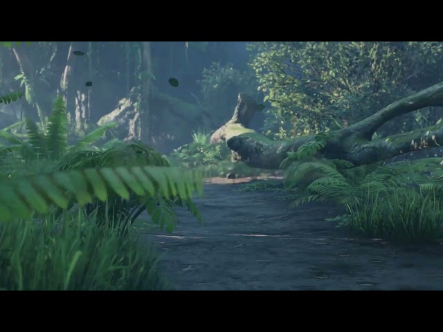 3d render of a tropical jungle and magic forest, seamless loop animation