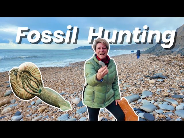 Fossil hunting on the Dorset Jurassic Coast of England Ep 147 Going Walkabout