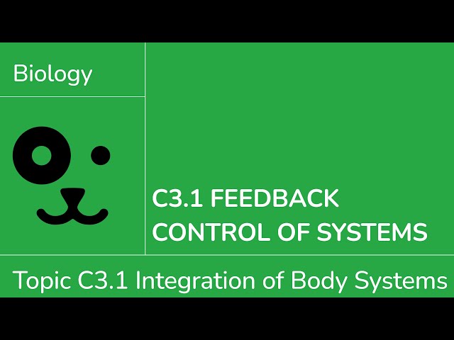 C3.1 Feedback Control [IB Biology SL/HL]