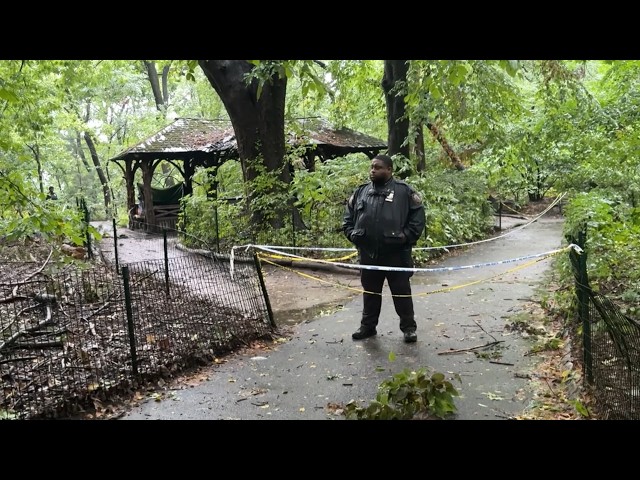 Friends, parkgoers reflect on woman who was killed in Central Park