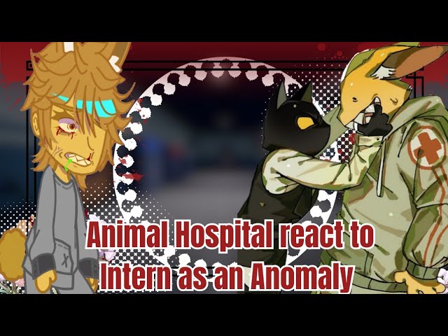 [] Animal Hospital react to Intern as an Anomaly [] Gacha Reaction [] Roblox []