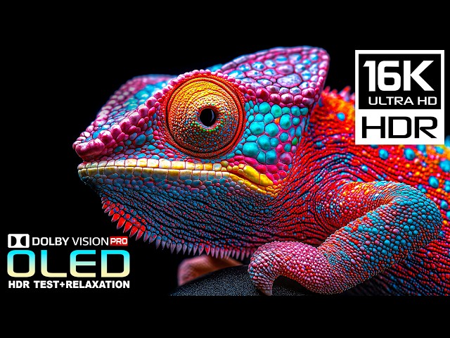 Incredibly Stunning OLED Display Test | Best Dolby Vision 16K HDR 60 fps | 8K/4K Video ULTRA HD TV
