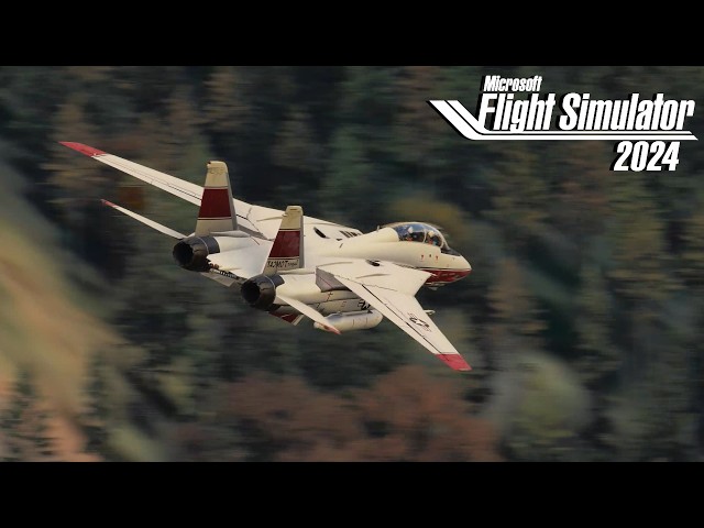 The Super Tomcat | Heatblur F-14 | Microsoft Flight Simulator