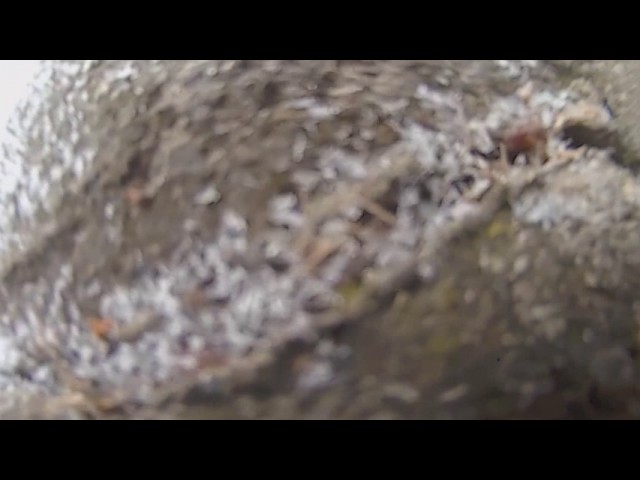 Traxxas Test 360