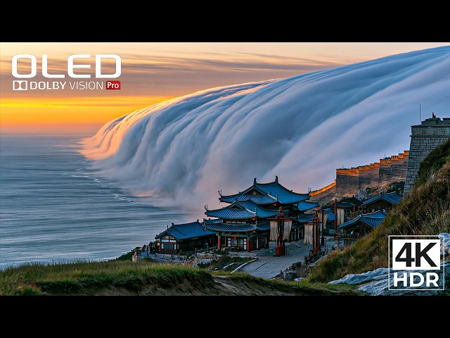 The Most Beautiful Details Are the Ones You Almost Miss | 4K HDR 60FPS - Dolby Vision