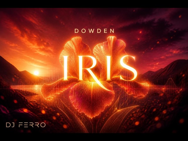 Dowden - Iris | Progressive House Track | 4K Visuals
