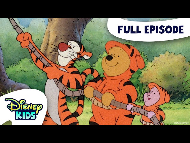 Cloud, Cloud, Go Away / To Dream the Impossible Scheme | The New Adventures of Winnie the Pooh S4 E7