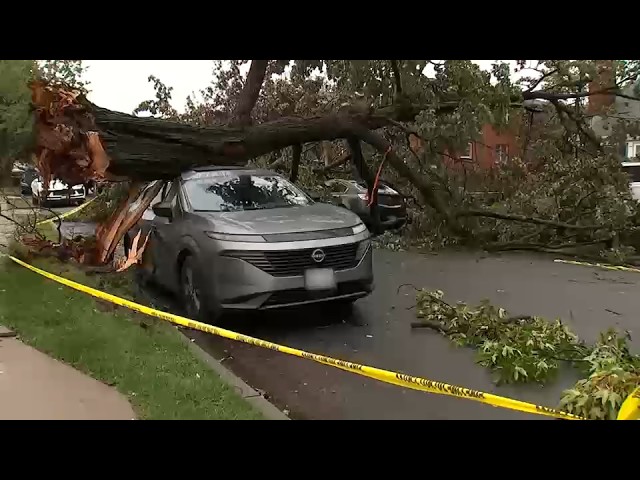 Crews called in to assist clean up nearly 1,000 down trees across NYC
