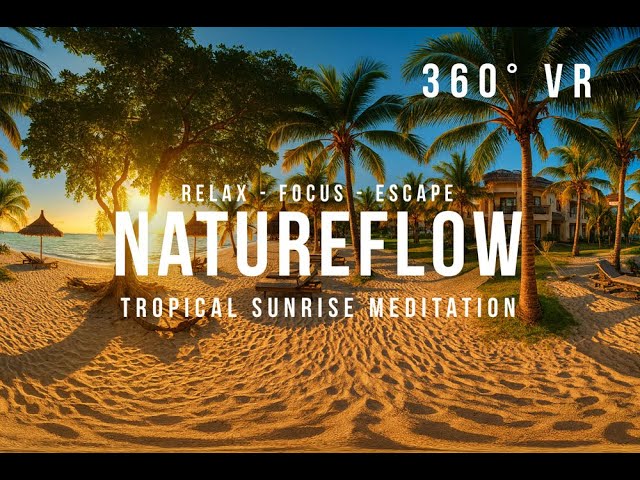 360° VR Tropical Sunrise Meditation – Calm Relaxing Music for Stress Relief & Sleep | NatureFlow